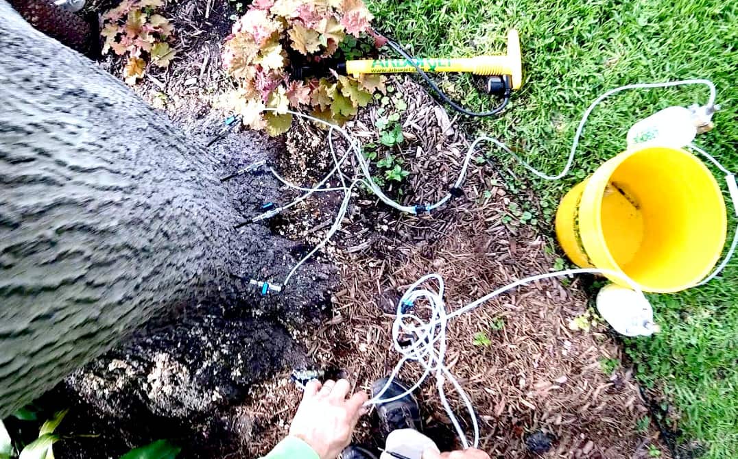 Leatherface Tree Service crew Dallas TX