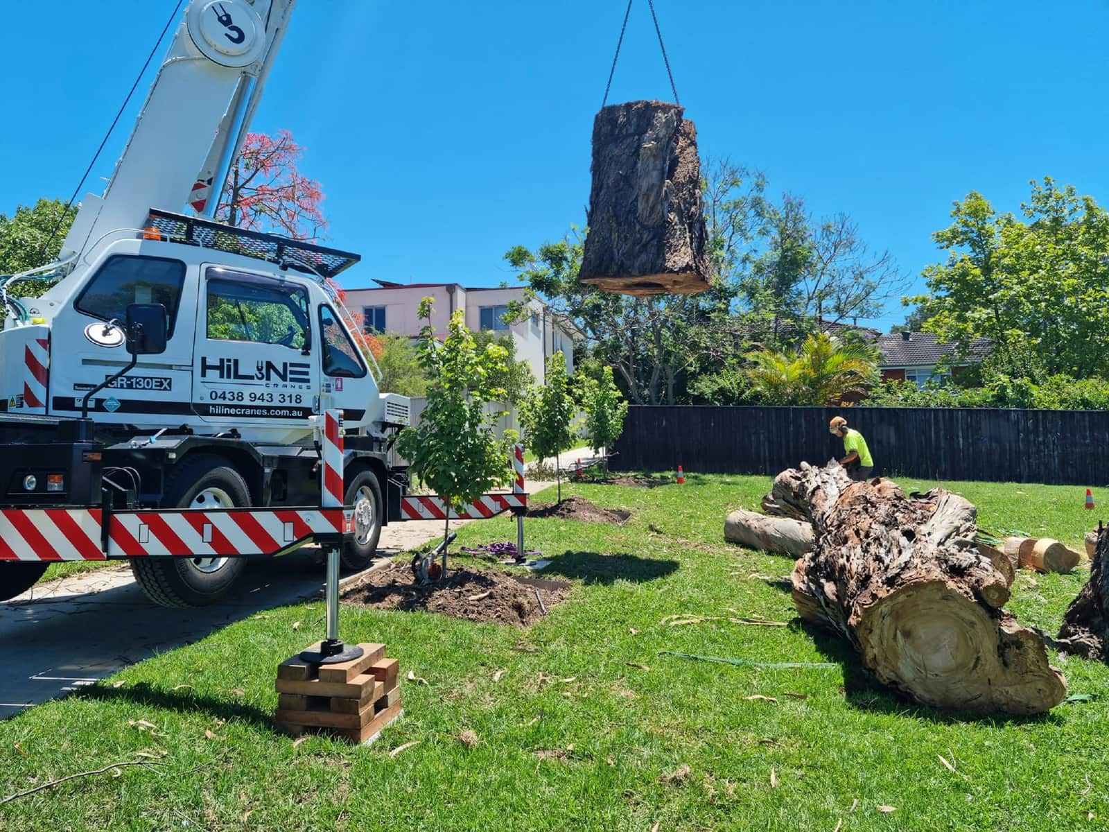 Stump Grinding Dallas TX